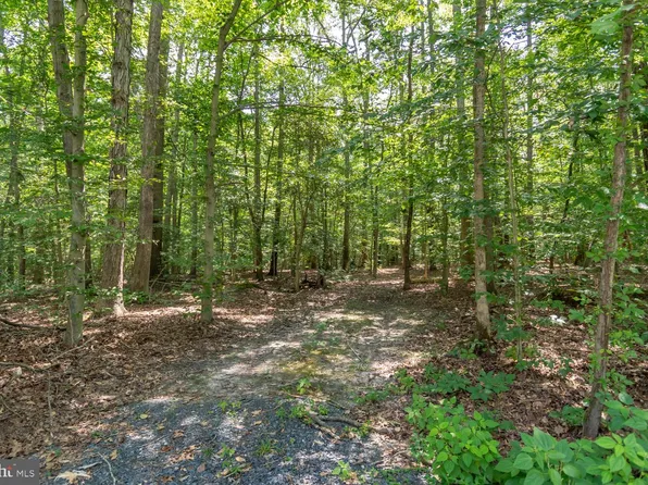 Boston Cliff Rd, Trappe, MD 21673