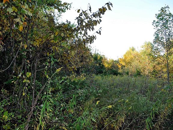 Fields
						:
						These fields are on the 63 acres above the pond