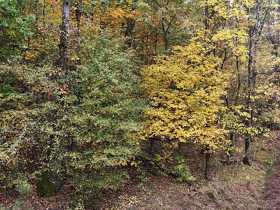2nd image of 0 Lower River Rd NW