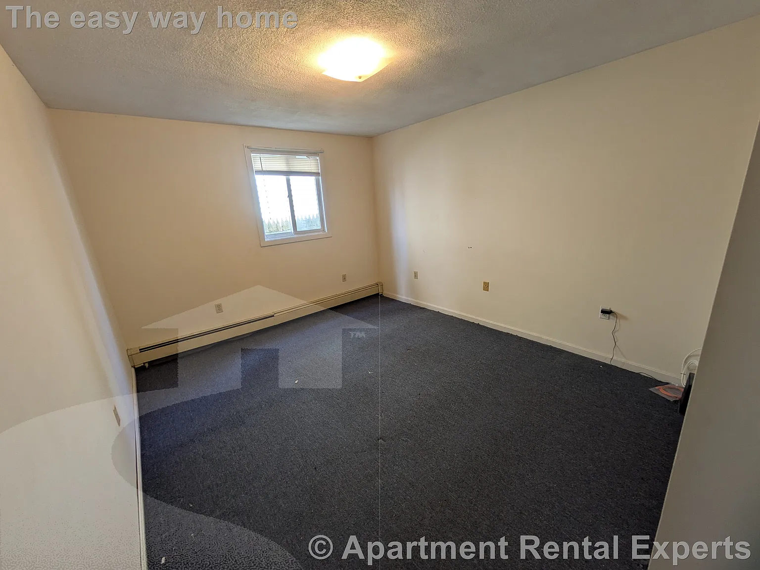 1 bed, 600 sqft, $2,200 — Photo 3
