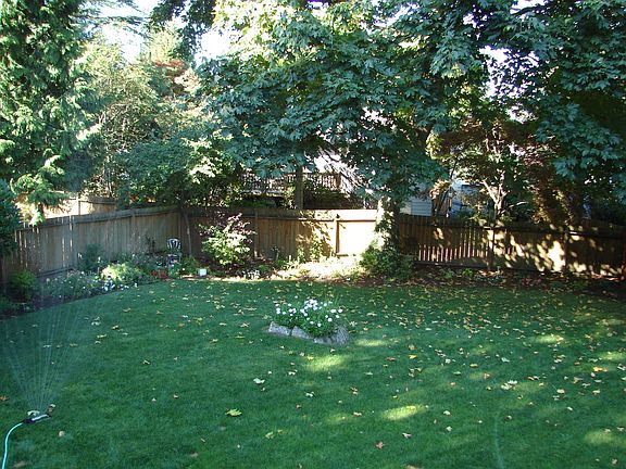 Huge fenced back yard