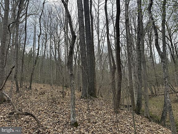 3rd image of Dodson Rd Tract C117