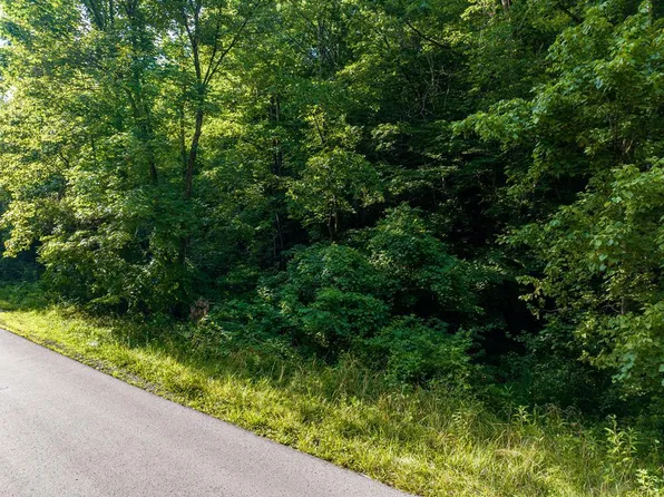 0 Stockton Creek Rd, Wallingford, KY 41093