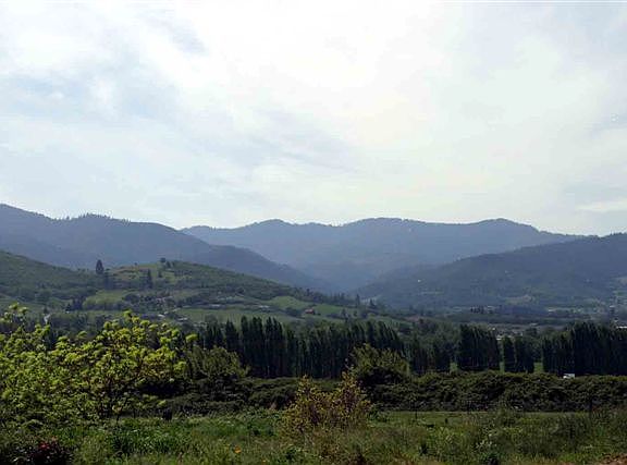 View of pasture & Mountains