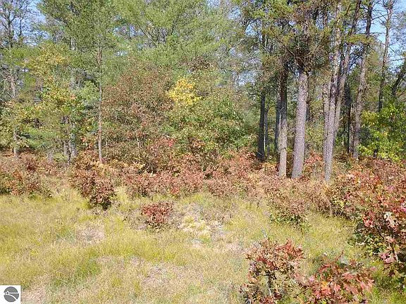 2nd image of Camp 2 Sara Ln #2