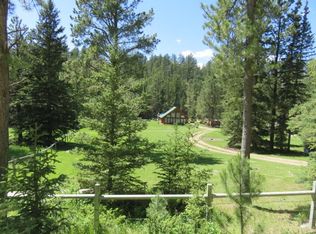 23535 Ditch Creek Rd, Hill City, SD 57745