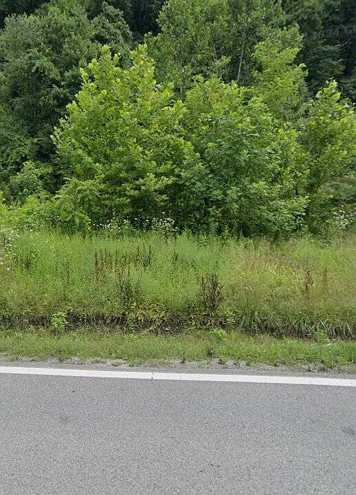 2nd image of 24061 Coal River Rd