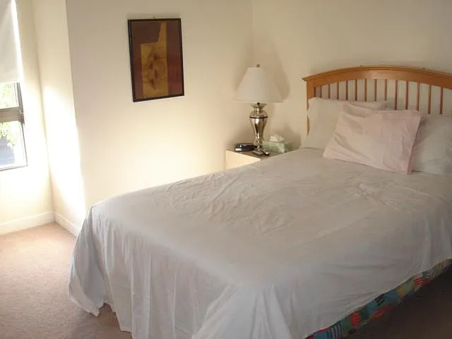 2 bed, 1000 sqft, $5,000 — Photo 4