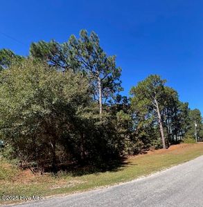 Tbd Cloud Avenue, Hamlet, NC, 28345