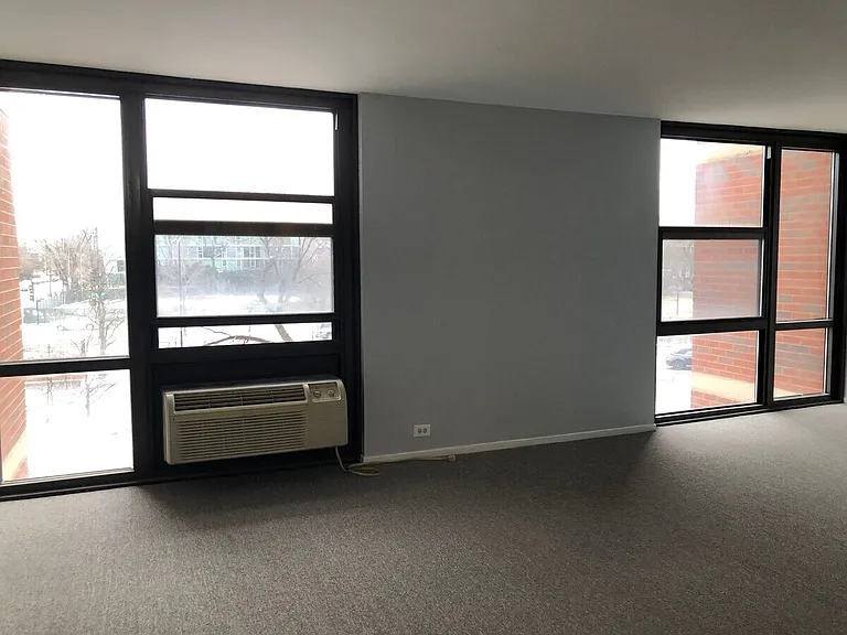 3041 S Michigan Ave #308 — Photo 8