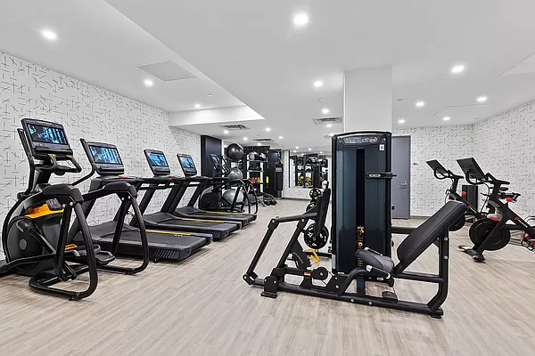 Rented by MNS | media 30