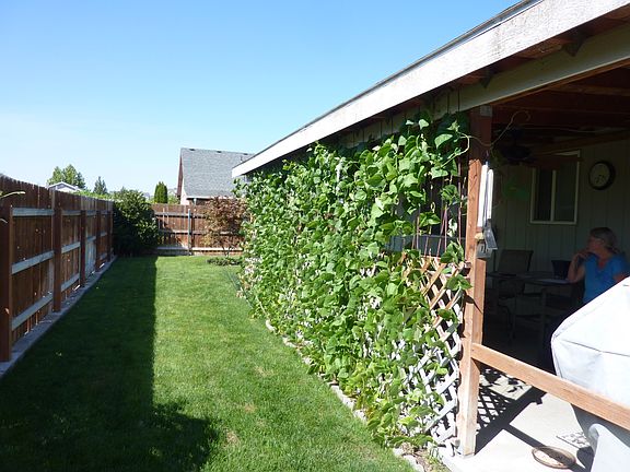 5th image of 9407 Percheron Dr
