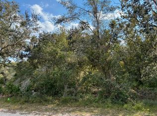 Lot 14, Block 75 Park Ave LOT 14, Indian Lake Estates, FL 33855
