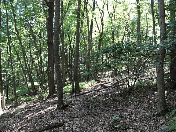 2nd image of LOT 319 Ridge Run