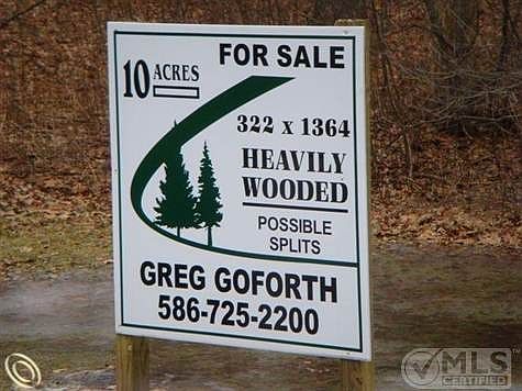 DSC01482 (Small).JPG