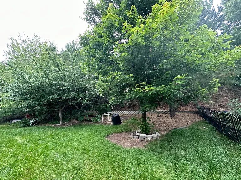 219 Northlands Dr — Photo 35