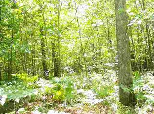 0 N Green Rd, Lake City, MI 49651