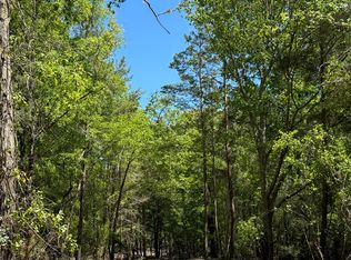 891 Conners Mill Rd, Ellaville, GA 31806