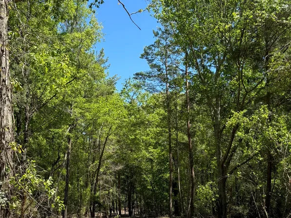891 Conners Mill Rd, Ellaville, GA 31806