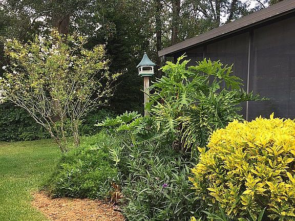 Side Yard Birdhouse