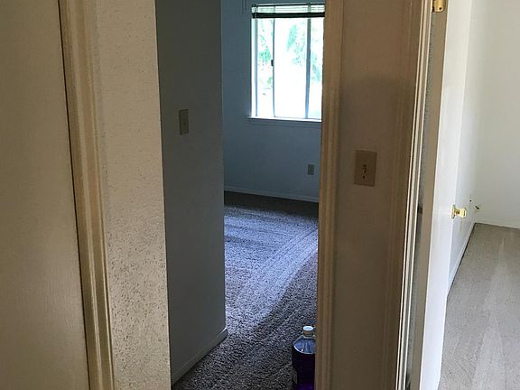 5th image of 116 Lady Bird Ln