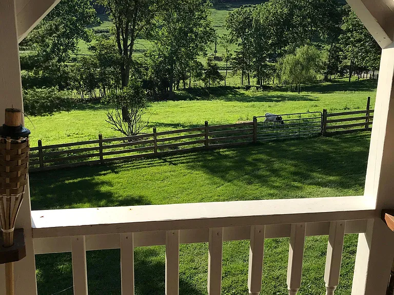 11042 Wills Creek Rd — Photo 3