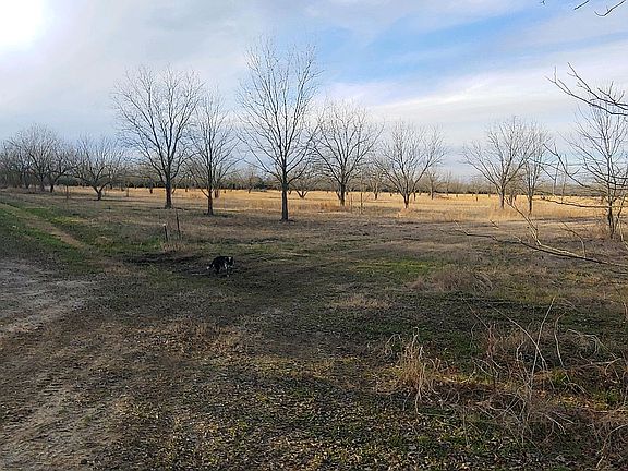 3rd image of 2689 County Road 3505