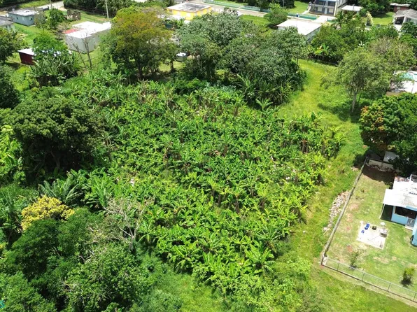1 Coralis, Aguadilla, PR 00603