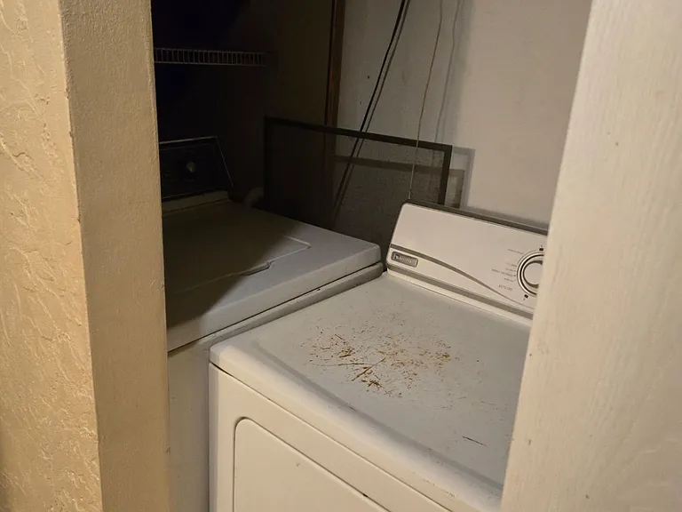 306 Meadow Dr #3 — Photo 3