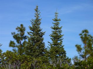 20 Acres LOT 1, Shingletown, CA 96088