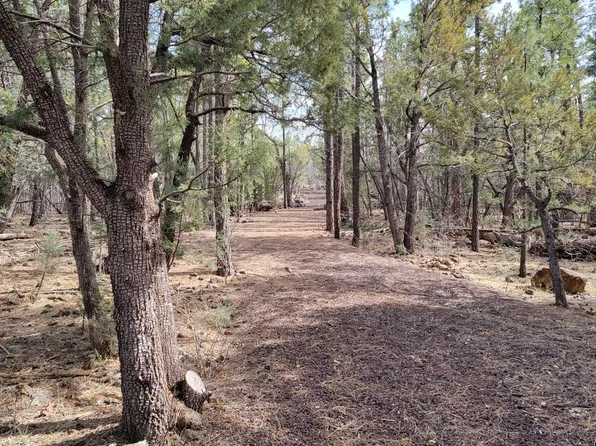 Zola St, Lakeside, AZ 85929