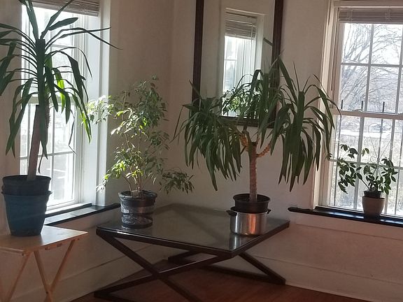 2nd image of 5036 Euclid Ave