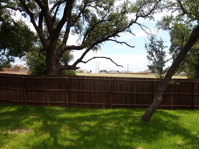 321 Canoe Dr — Photo 25