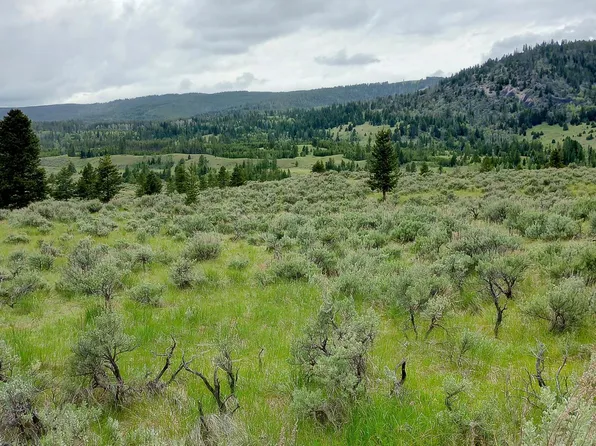 Nhn Moose Lake Rd Lot 2, Philipsburg, MT 59858