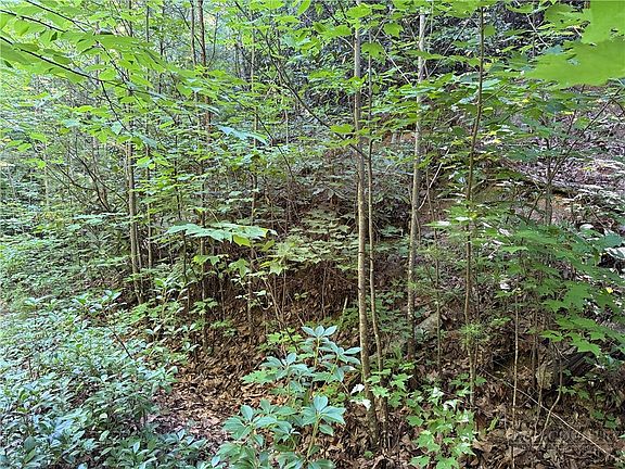 5th image of Lot 222 Casey Mountain Road