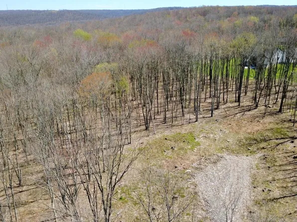 0 Corlwood Rd, Philipsburg, PA 16866