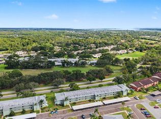 221 CARYL WAY #221, OLDSMAR, FL 34677