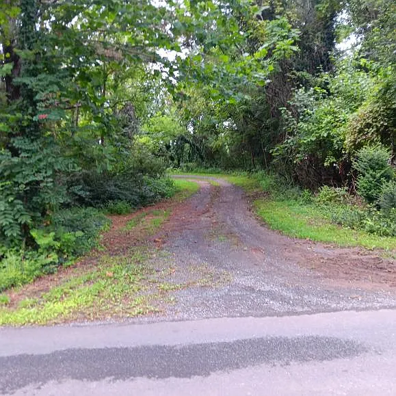 2 bed, 1.5 bath, 1300 sqft, $1,700 — Photo 1