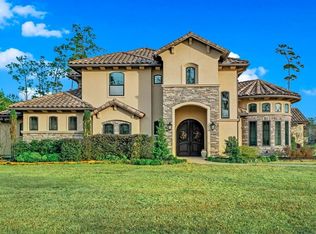 27524 Velvet Sky Way, Spring, TX 77386