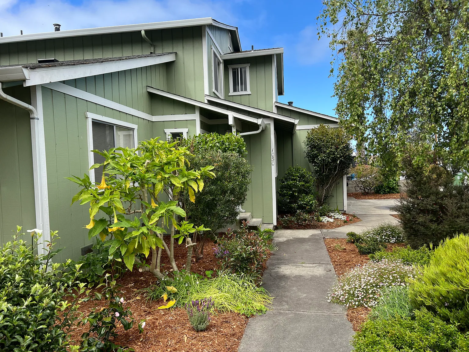 3 bed, 2.5 bath, 1600 sqft, $4,500 — Photo 2