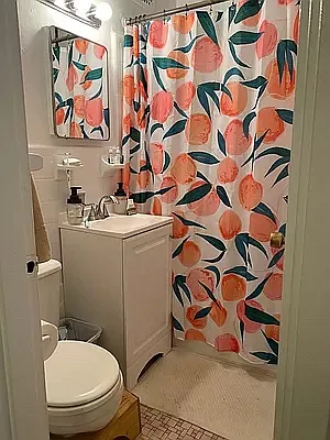 Rented by AZ REALTY NYC LLC | media 14