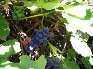 1333 NE 47th Ave #A, Portland, OR 97213