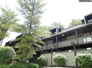 948A Snowfall Spur, Akron, OH 44313
