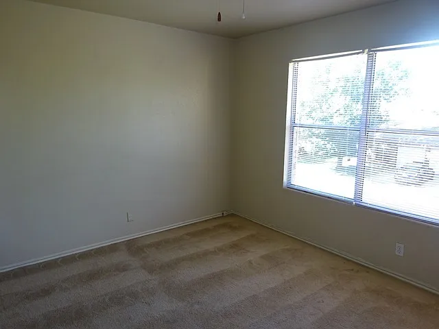 3638 Candlehead Ln — Photo 29