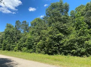 2581 Pelican Rd, Shepherd, TX 77371