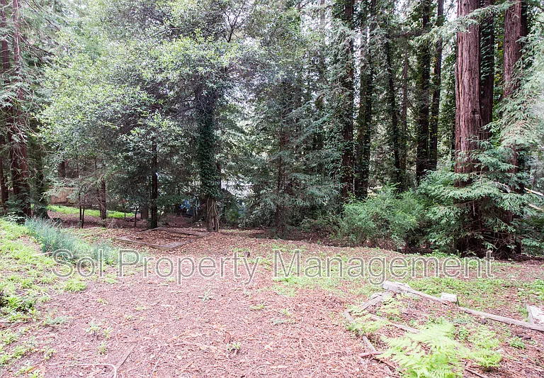 153 Pine Ave — Photo 12