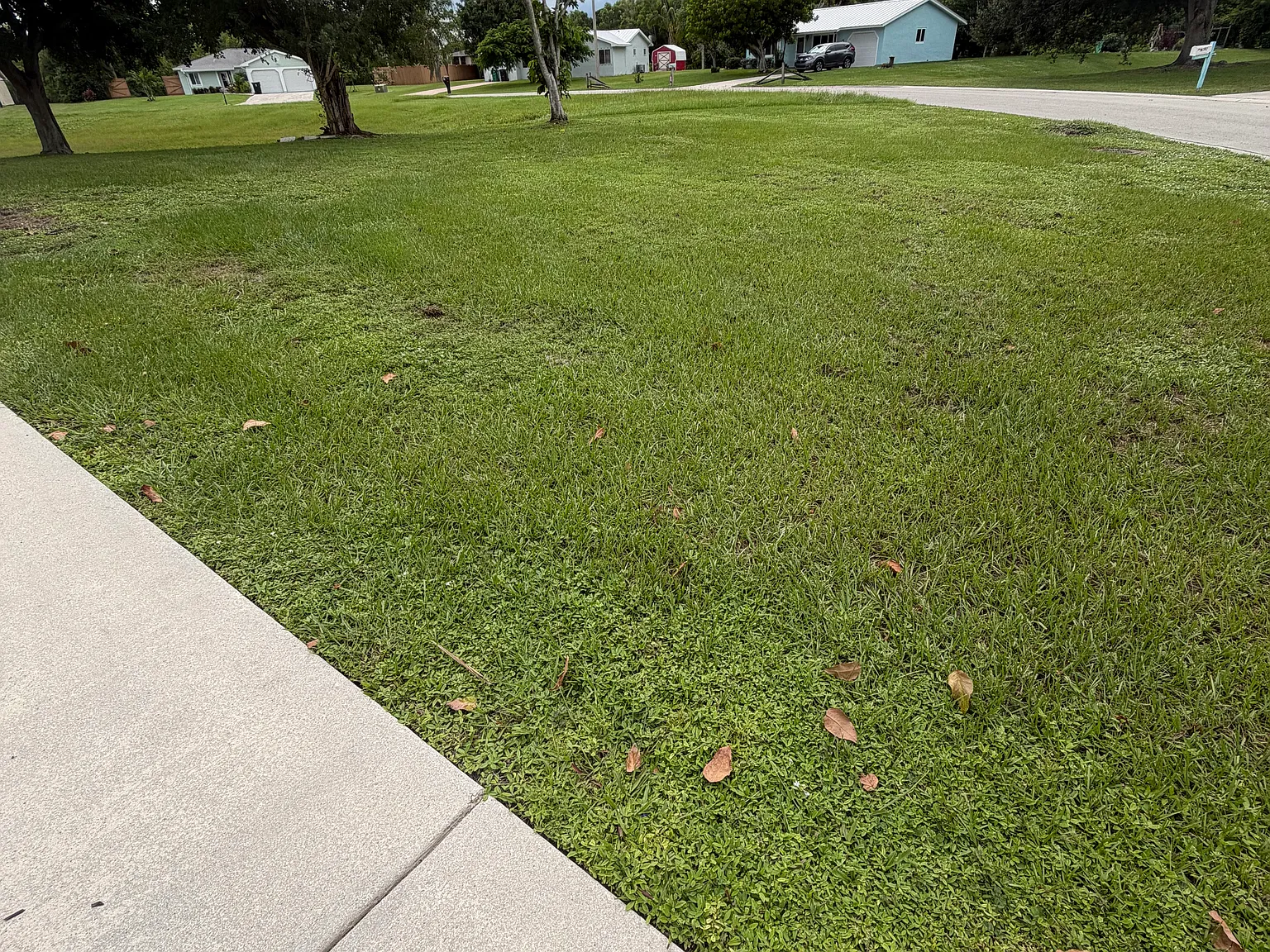 2 bed, 904 sqft, $2,000 — Photo 3