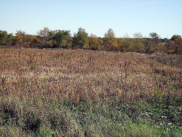 2nd image of Story Ridge Ct Lot 34