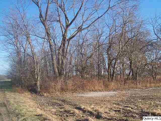 Home for Sale in Liberty, IL $7,500