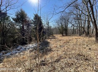 TRACT 3 Old Van Buren Rd, Mount Eden, KY 40046